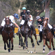 Illustration for article titled This Is What You Wear to a Polo Match in Hellay